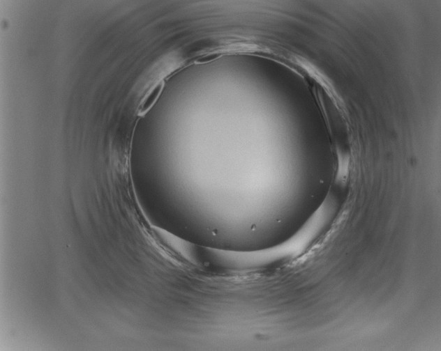 X0000065971193200603061142