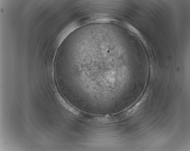 X0000065971194200603061142