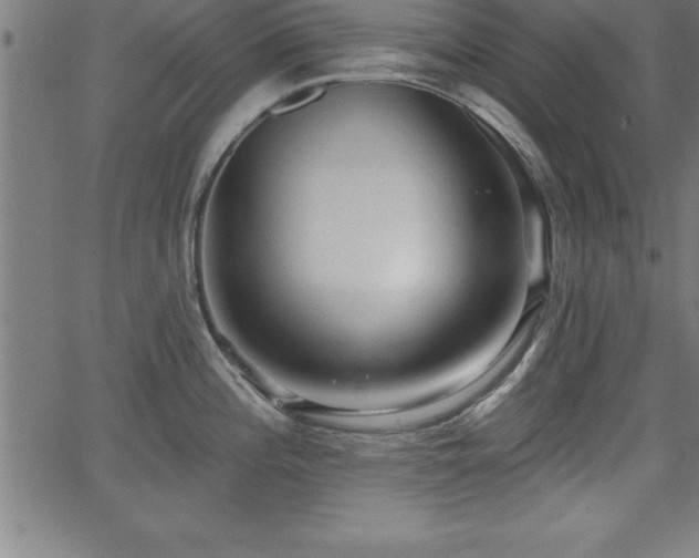 X0000065971196200603061141