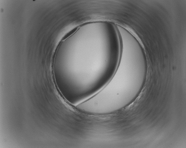 X0000065971197200603061141