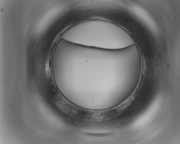 X0000065971198200603061141