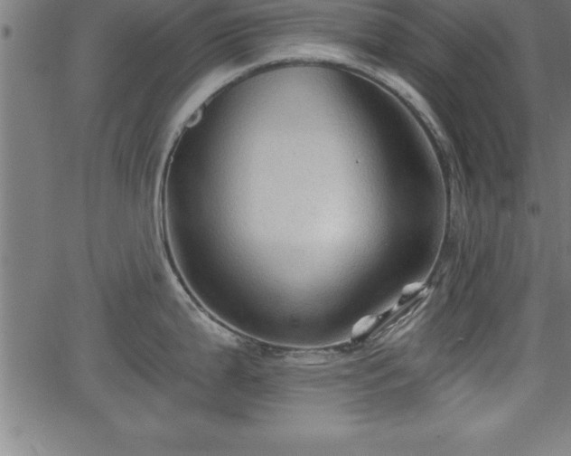 X0000065971199200603061141