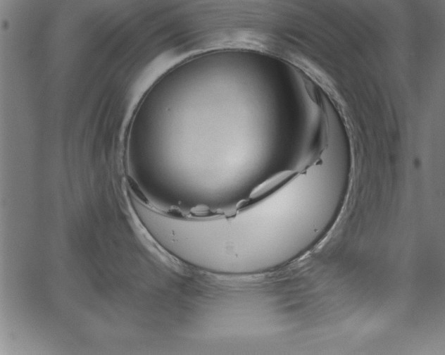 X0000065971200200603061141