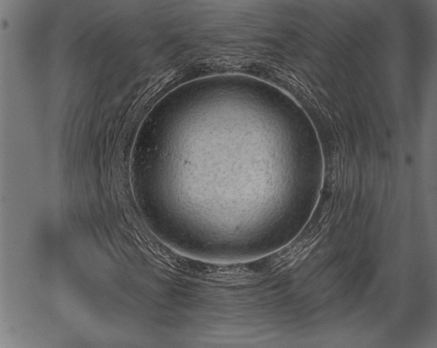 X0000065971201200603061141