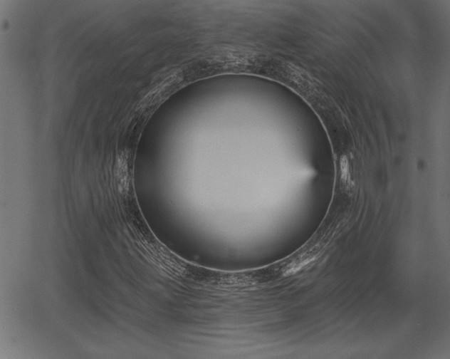 X0000065971203200603061141