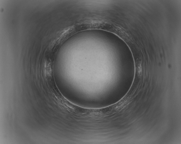 X0000065971204200603061141