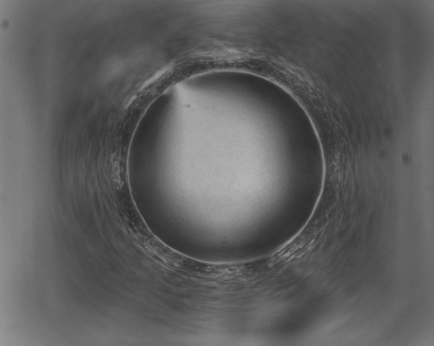 X0000065971205200603061141