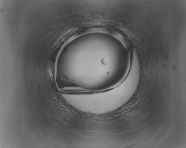 X0000065971206200603061141