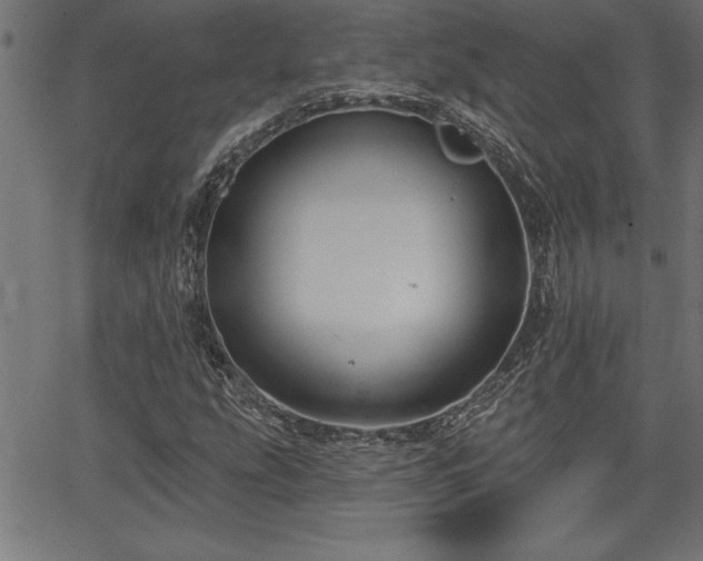 X0000065971207200603061141