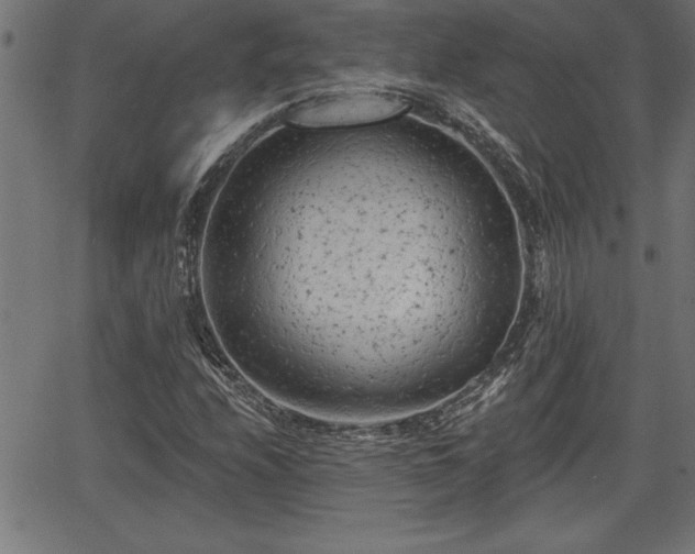 X0000065971208200603061141