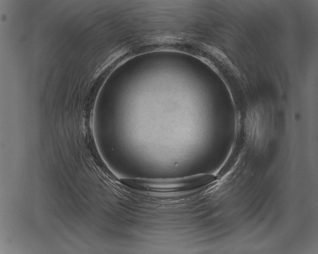 X0000065971209200603061141