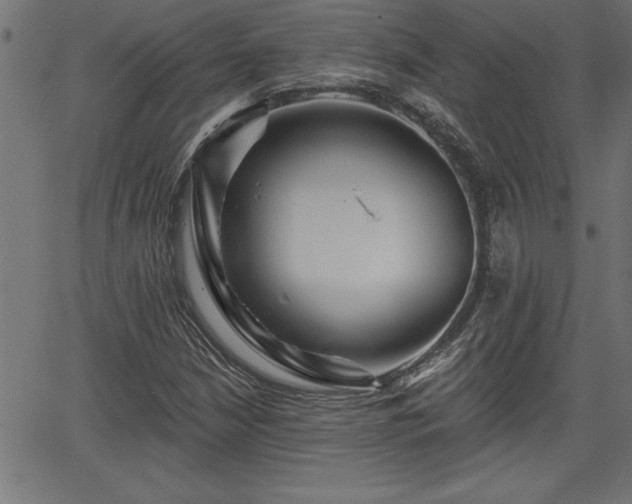 X0000065971210200603061141