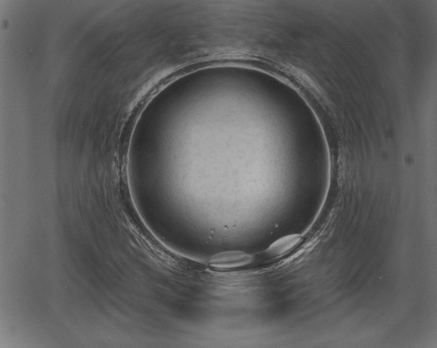 X0000065971212200603061141