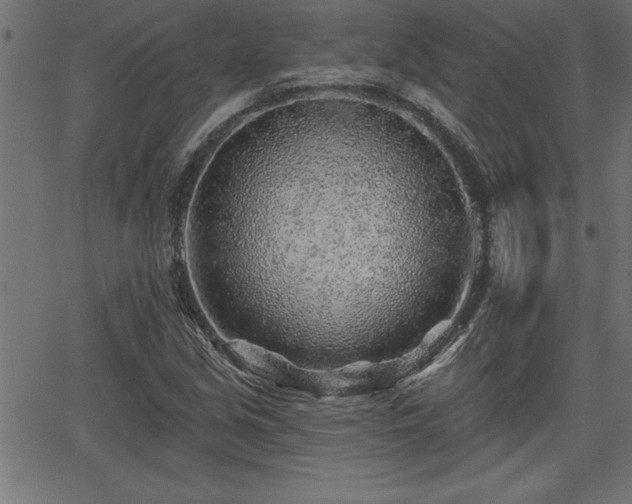 X0000065971213200603061141