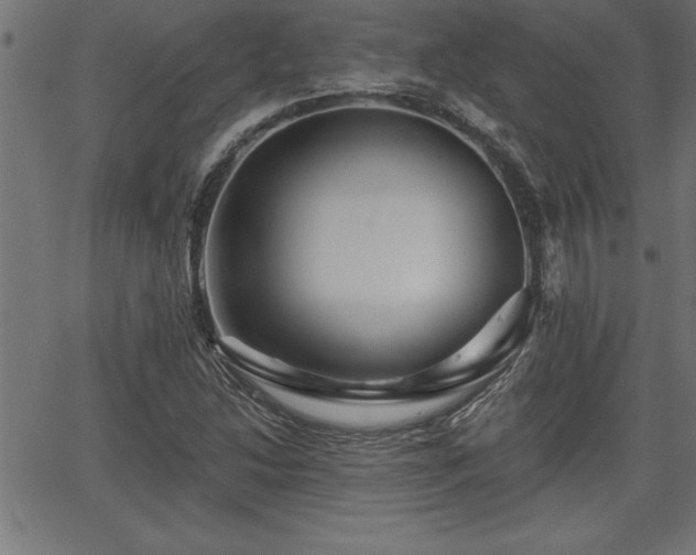 X0000065971214200603061141