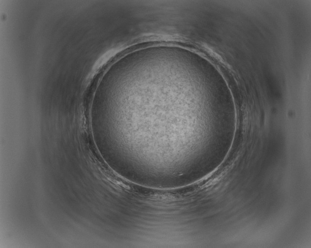 X0000065971215200603061141