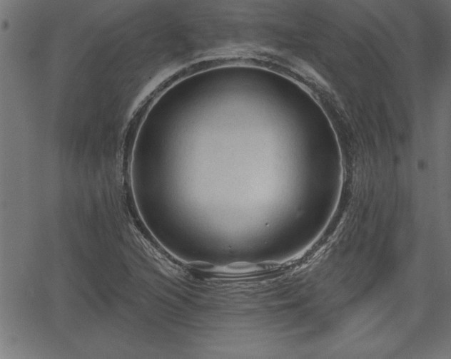 X0000065971216200603061141