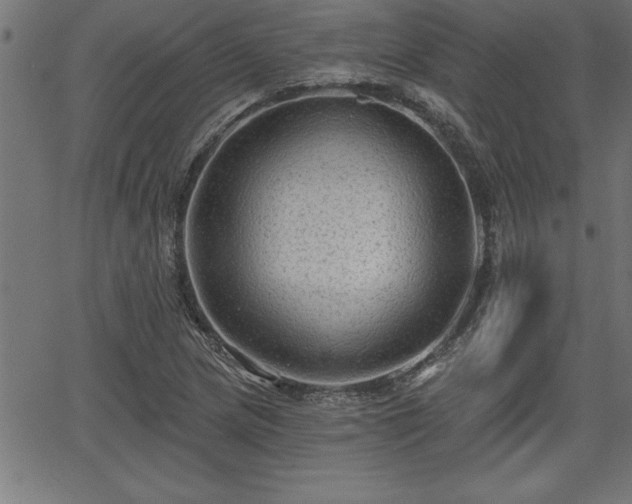 X0000065971217200603061141