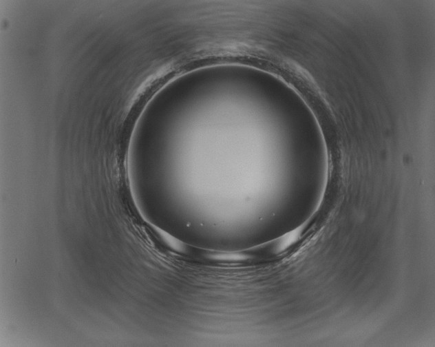 X0000065971218200603061141