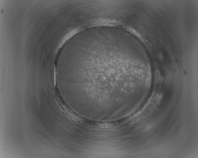 X0000065971219200603061141