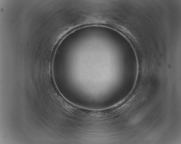 X0000065971220200603061141