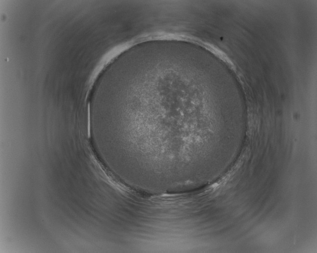 X0000065971223200603061141