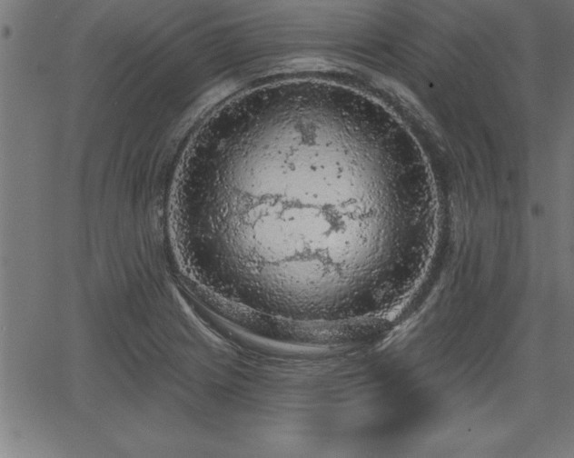 X0000065971225200603061141