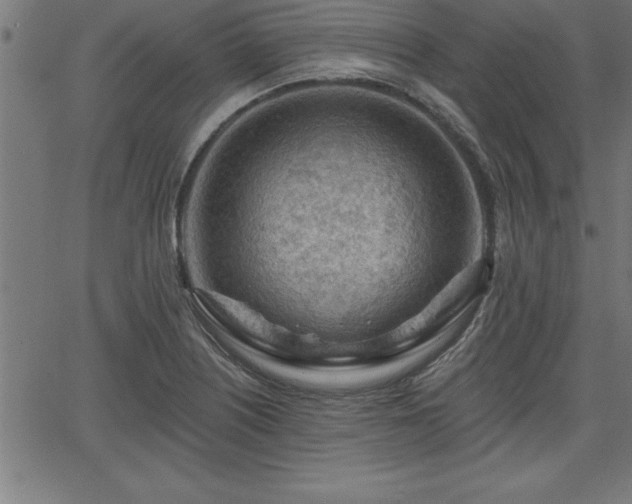 X0000065971226200603061141