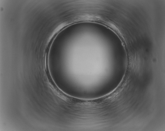 X0000065971227200603061141