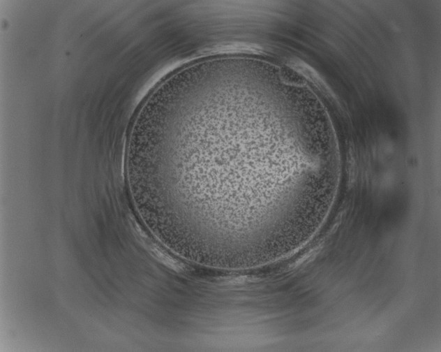 X0000065971228200603061141