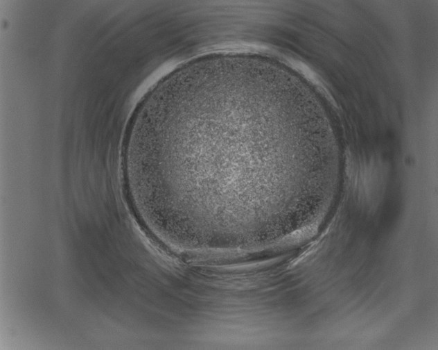 X0000065971229200603061141