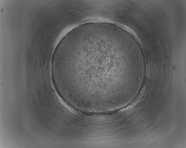 X0000065971231200603061141