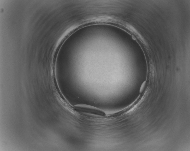 X0000065971232200603061141