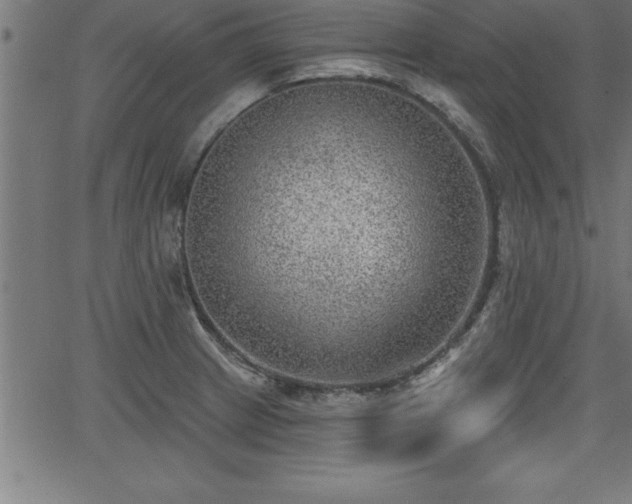 X0000065971233200603061141