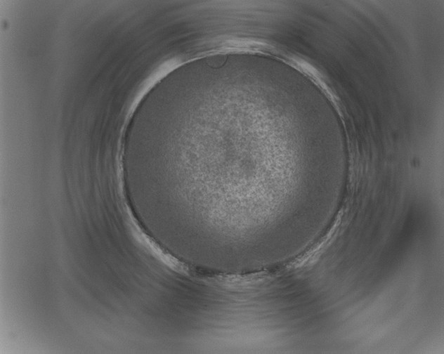 X0000065971235200603061141