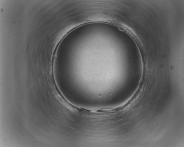 X0000065971236200603061141