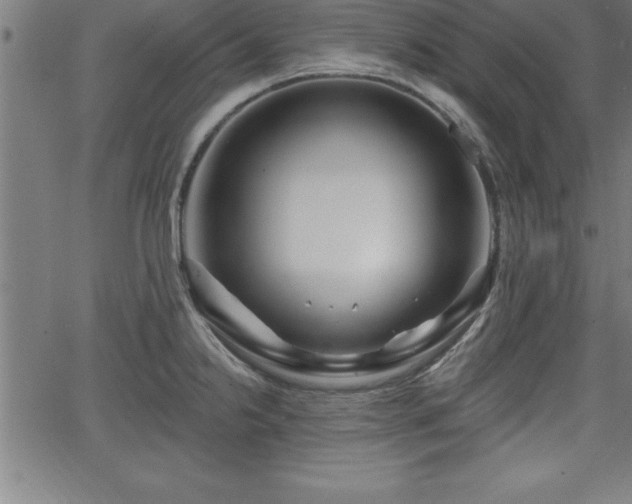 X0000065971238200603061141