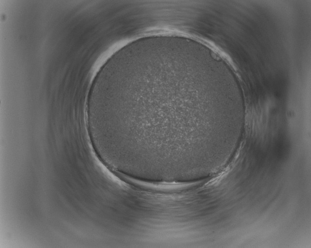 X0000065971239200603061141