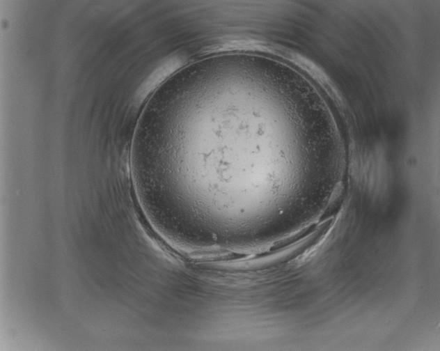 X0000065971241200603061141