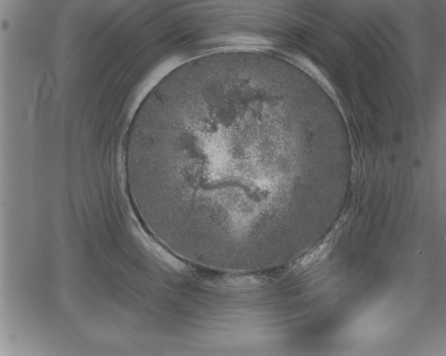 X0000065971243200603061141