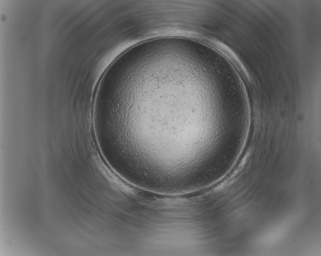 X0000065971244200603061141