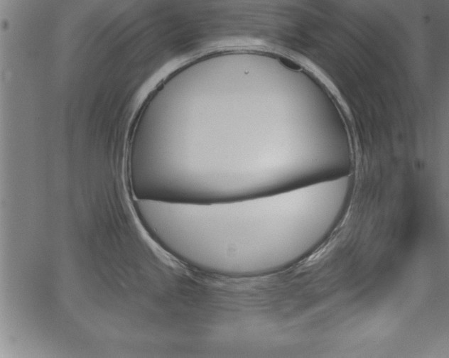 X0000065971245200603061141