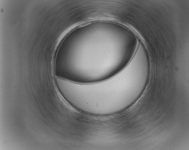 X0000065971246200603061141