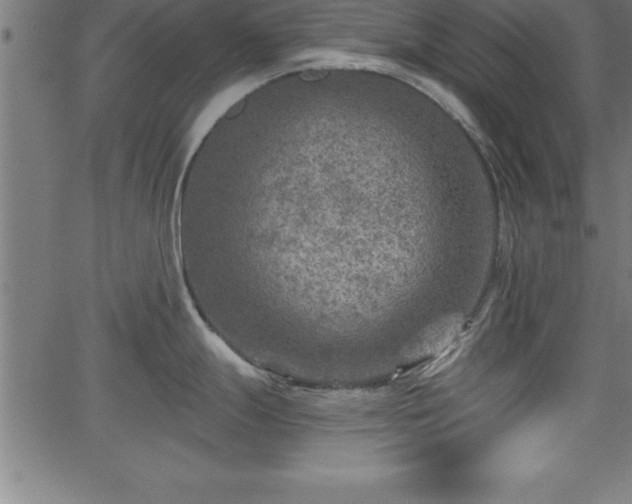 X0000065971247200603061141