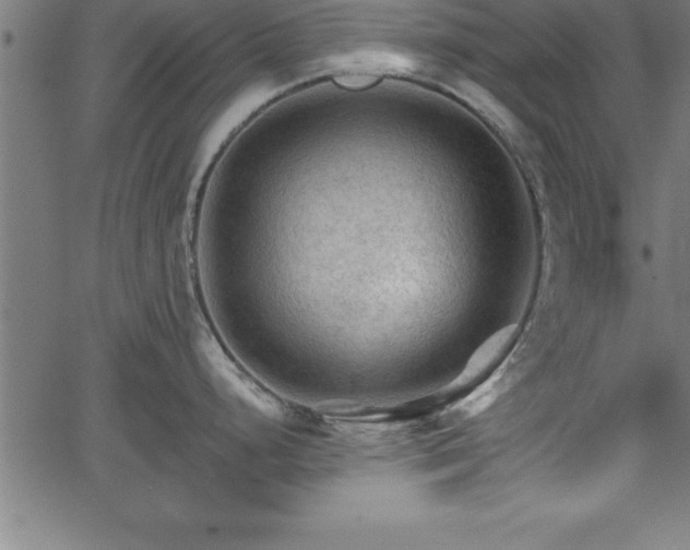 X0000065971248200603061141