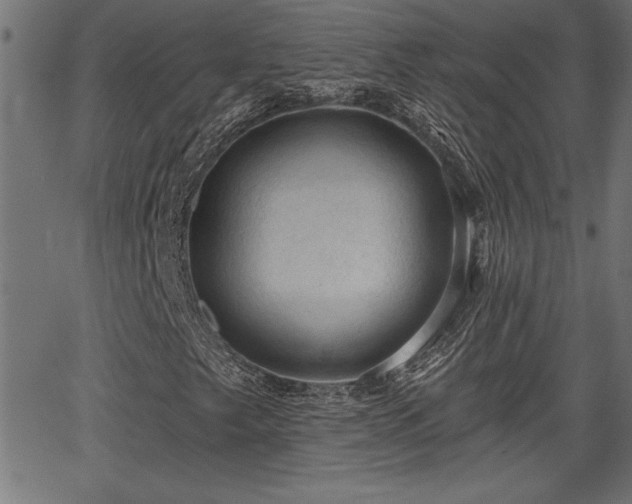 X0000065971249200603061141