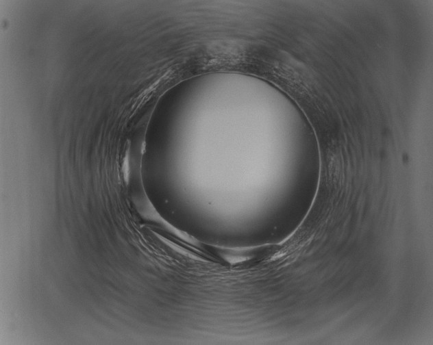 X0000065971250200603061141