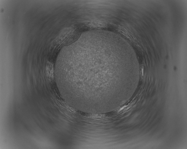 X0000065971251200603061141