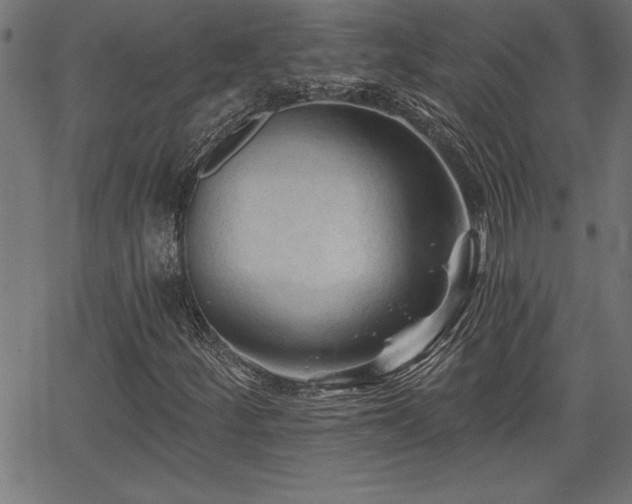 X0000065971252200603061141