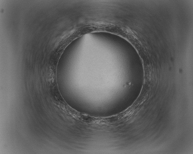 X0000065971253200603061141